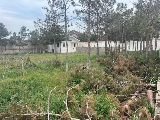 Satılır 0 otaqlı 180000 m2 yeni tikili Suvalan baglari ünvanında